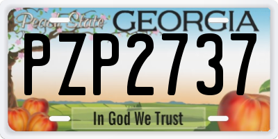 GA license plate PZP2737
