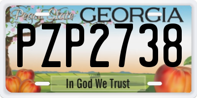 GA license plate PZP2738