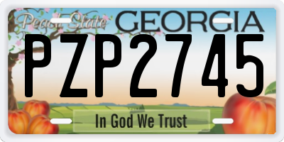 GA license plate PZP2745