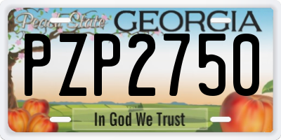 GA license plate PZP2750
