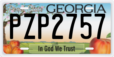 GA license plate PZP2757