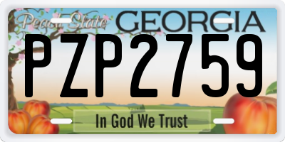 GA license plate PZP2759