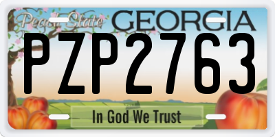 GA license plate PZP2763