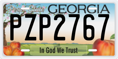 GA license plate PZP2767