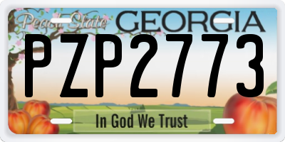 GA license plate PZP2773