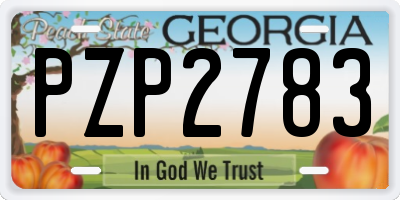 GA license plate PZP2783