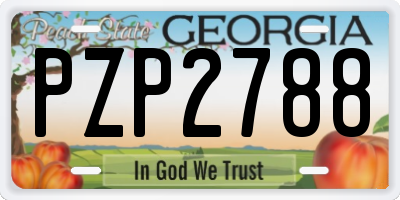 GA license plate PZP2788