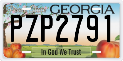 GA license plate PZP2791