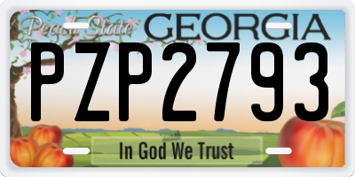 GA license plate PZP2793