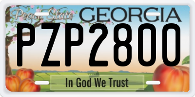 GA license plate PZP2800