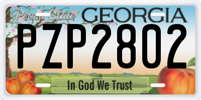 GA license plate PZP2802