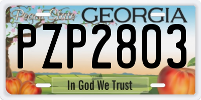 GA license plate PZP2803