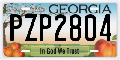 GA license plate PZP2804