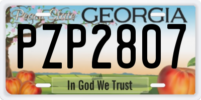 GA license plate PZP2807