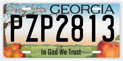 GA license plate PZP2813