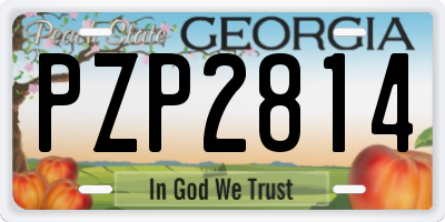 GA license plate PZP2814