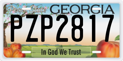 GA license plate PZP2817