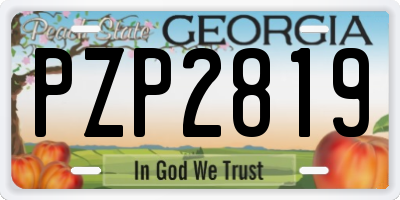 GA license plate PZP2819