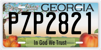 GA license plate PZP2821