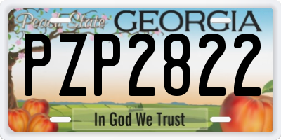 GA license plate PZP2822