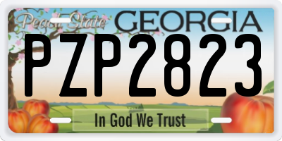 GA license plate PZP2823