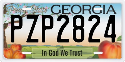 GA license plate PZP2824