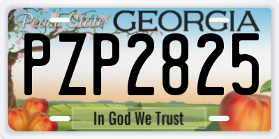 GA license plate PZP2825