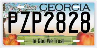 GA license plate PZP2828