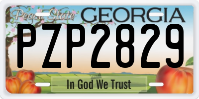 GA license plate PZP2829