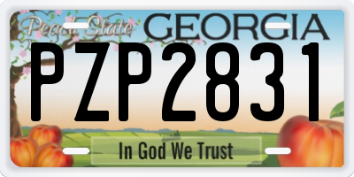 GA license plate PZP2831
