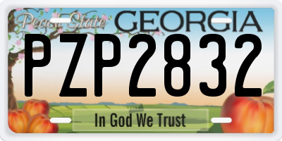 GA license plate PZP2832