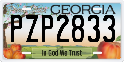 GA license plate PZP2833