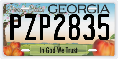 GA license plate PZP2835