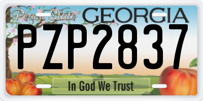 GA license plate PZP2837