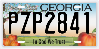 GA license plate PZP2841