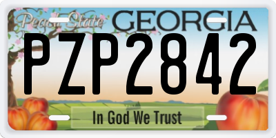 GA license plate PZP2842
