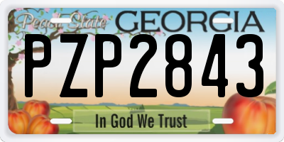 GA license plate PZP2843