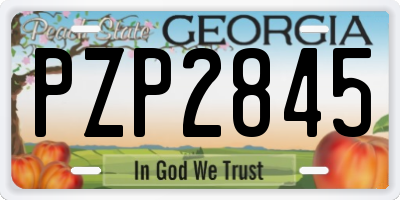 GA license plate PZP2845