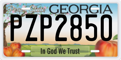 GA license plate PZP2850