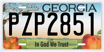 GA license plate PZP2851