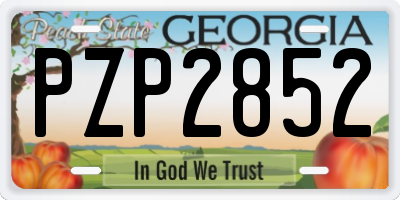 GA license plate PZP2852