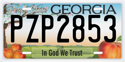 GA license plate PZP2853