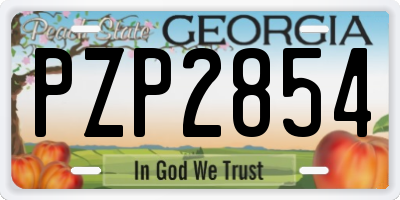 GA license plate PZP2854