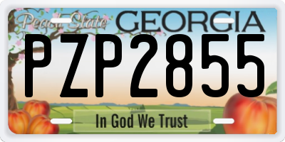 GA license plate PZP2855