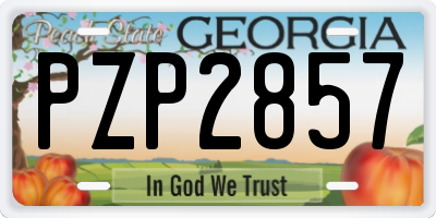 GA license plate PZP2857