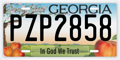 GA license plate PZP2858