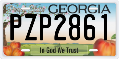 GA license plate PZP2861