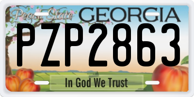 GA license plate PZP2863