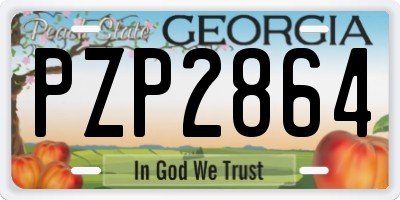 GA license plate PZP2864