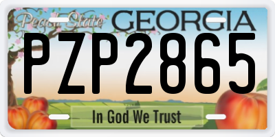GA license plate PZP2865